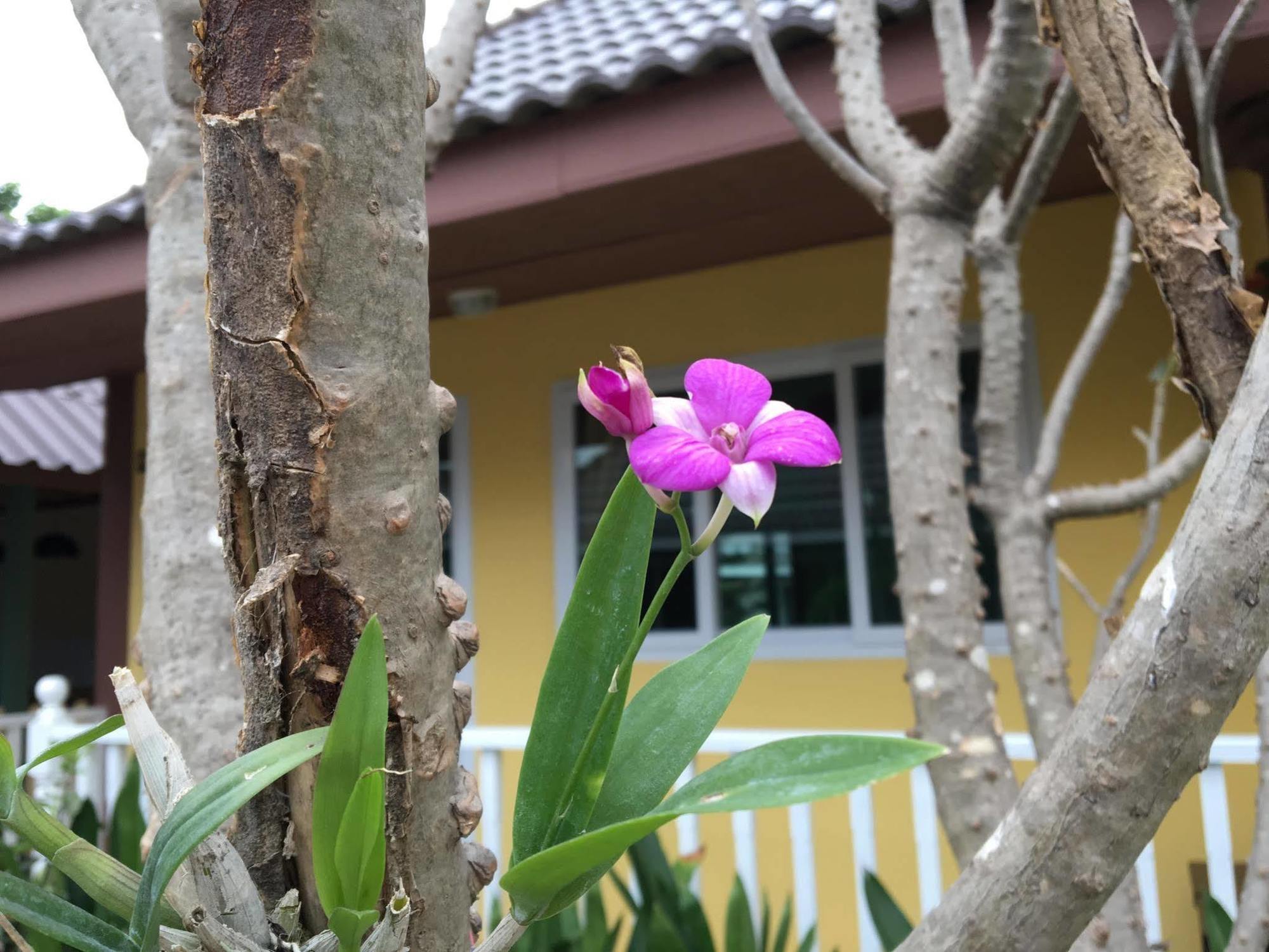 Baan Penny Hotell Phra Nakhon Si Ayutthaya Exteriör bild